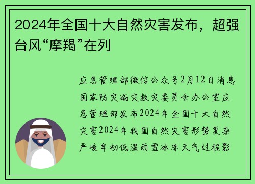 2024年全国十大自然灾害发布，超强台风“摩羯”在列