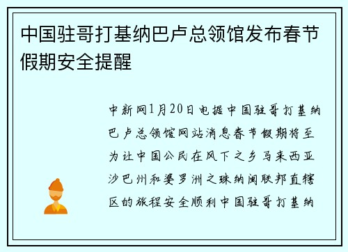 中国驻哥打基纳巴卢总领馆发布春节假期安全提醒
