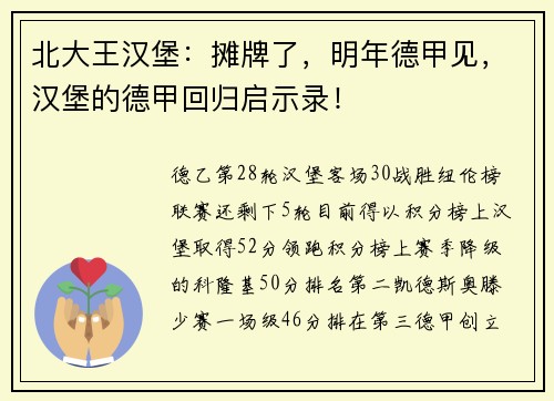 北大王汉堡：摊牌了，明年德甲见，汉堡的德甲回归启示录！